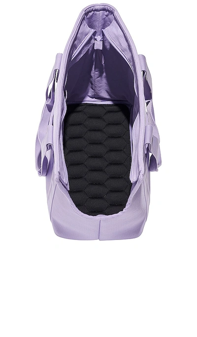 Shop Wild One Everyday Carrier In Lavender