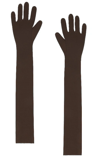 Shop Norma Kamali Long Gloves In Chocolate