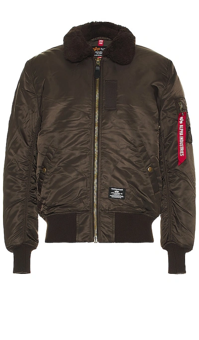 Shop Alpha Industries B-15 Mod Flight Jacket In Chocolate