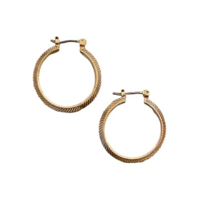 Shop Lisa Angel Hoop Earrings Herringbone Edge Gold