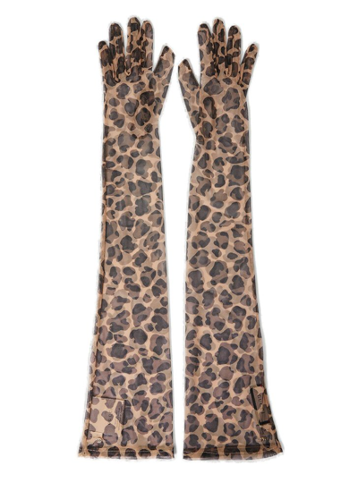 Shop Gucci Leopard Printed Gloves In Brown