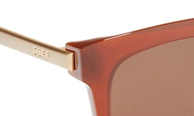 Shop Diff 54mm Hailey Square Sunglasses In Nutshell