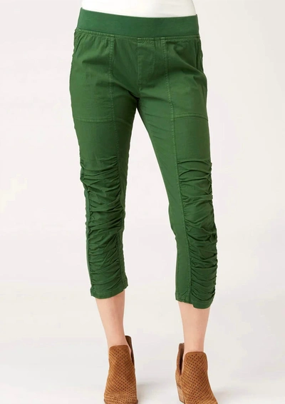 Shop Xcvi Geyser Crop Pant In Giada Pigments In Green