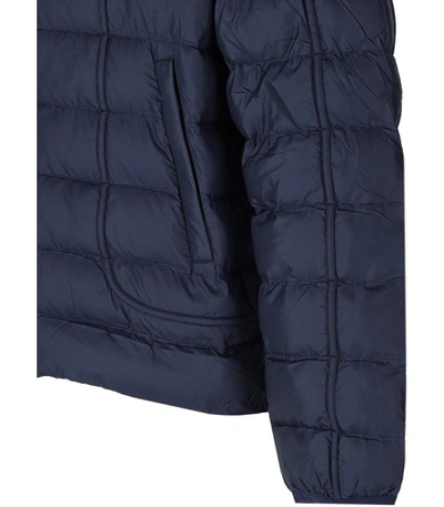 Shop Diesel W-scottys Blue Hooded Padded Jacket