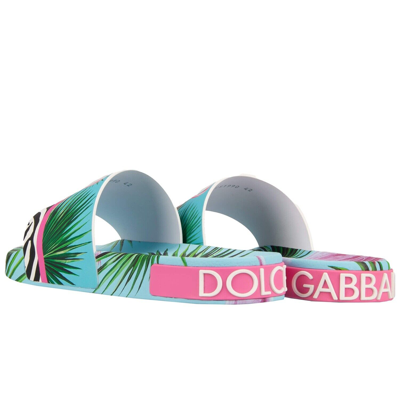 Pre-owned Dolce & Gabbana X Dj Khaled Slide Sandalen Schuhe Flamingo Zebra Blau Pink 13777