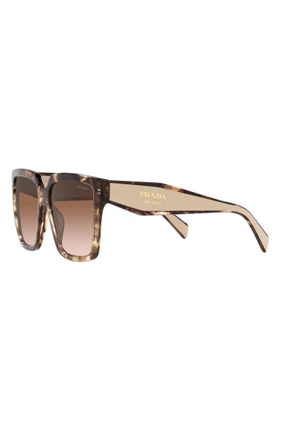 Shop Prada 56mm Square Sunglasses In Brown Tort