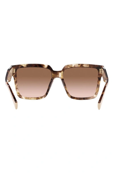 Shop Prada 56mm Square Sunglasses In Brown Tort