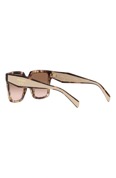 Shop Prada 56mm Square Sunglasses In Brown Tort