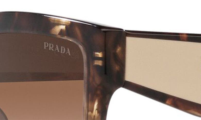 Shop Prada 56mm Square Sunglasses In Brown Tort