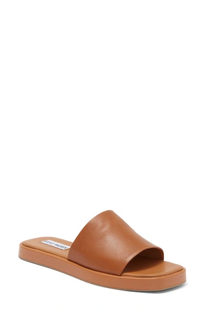 Shop Steve Madden Holmes Slide Sandal In Cognac