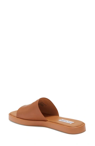 Steve Madden Holmes Slide Sandal In Cognac