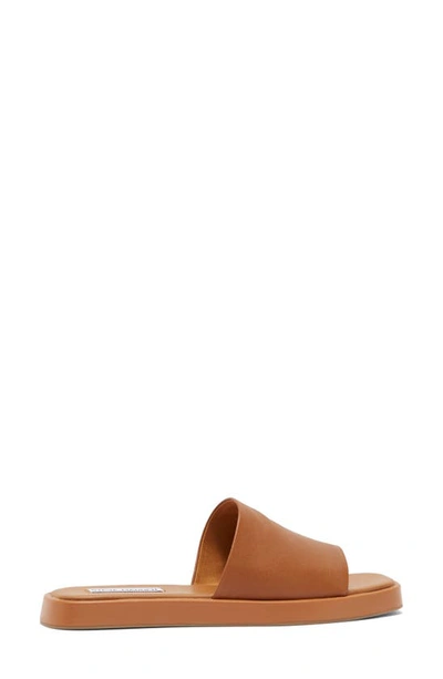 Shop Steve Madden Holmes Slide Sandal In Cognac