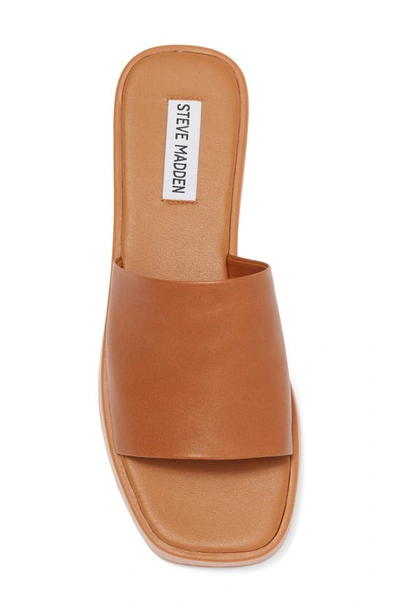 Shop Steve Madden Holmes Slide Sandal In Cognac