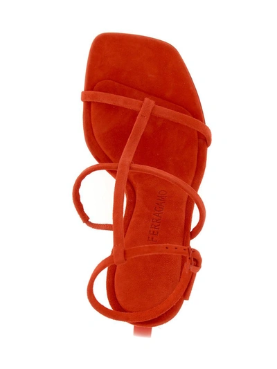 Shop Ferragamo 'alina' Sandals In Red