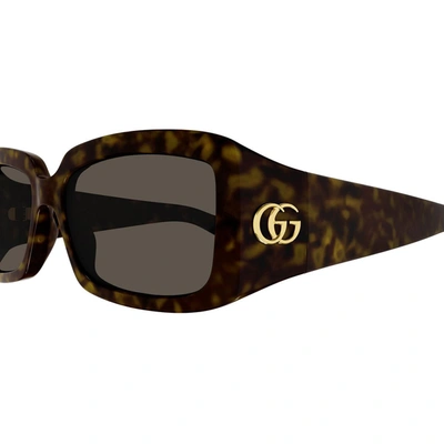 Gucci Gg1403s Sunglasses In Havana