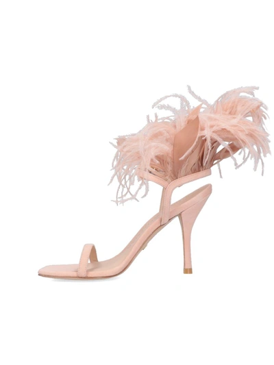 Shop Stuart Weitzman Sandals In Pink