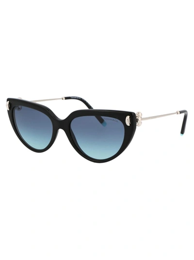 Shop Tiffany & Co Sunglasses In 80019s Black