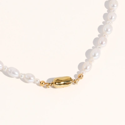 Shop Joey Baby Madelyn Pearl Necklace In Gold