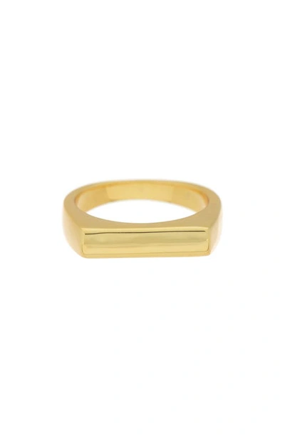 Shop Savvy Cie Jewels 18k Yellow Gold Plated Bar Signet Ring