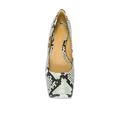 Bottega Veneta Tower Python-print Ballerina Shoes