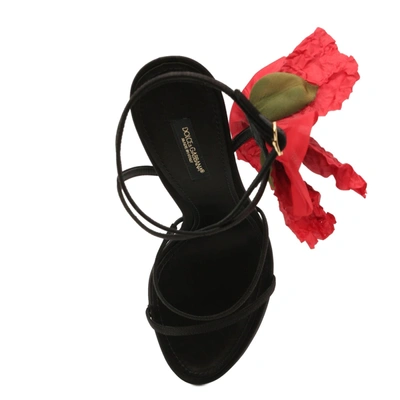 Shop Dolce & Gabbana Keira Sandals