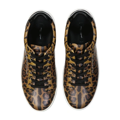 Shop Dolce & Gabbana Leather Sneaker