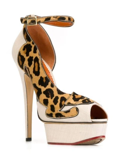 Shop Charlotte Olympia 'leopardess' Pumps