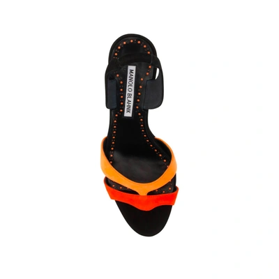 Shop Manolo Blahnik Bora 070 Suede Sandals