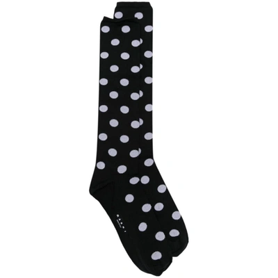 Shop Marni Jacquard Small Polka Dots Socks Clothing In Black