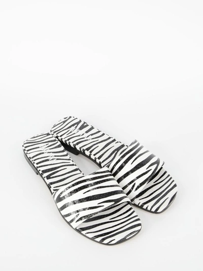 Paris Texas Zebra-print Flat Sandals In White