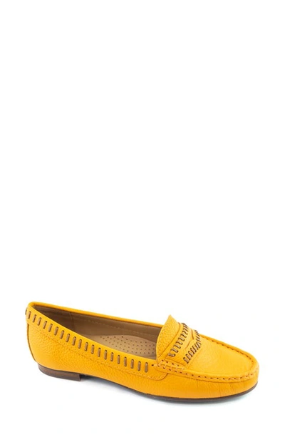 Shop Driver Club Usa Maple Ave Penny Loafer In Cheddar Tumbled