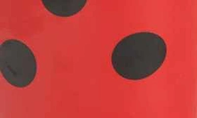 Shop Western Chief Ladybug Waterproof Rain Boot In Red