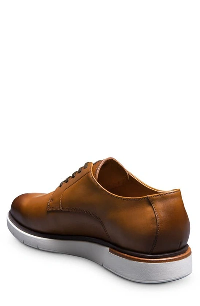 Shop Allen Edmonds Carson Derby In Walnut