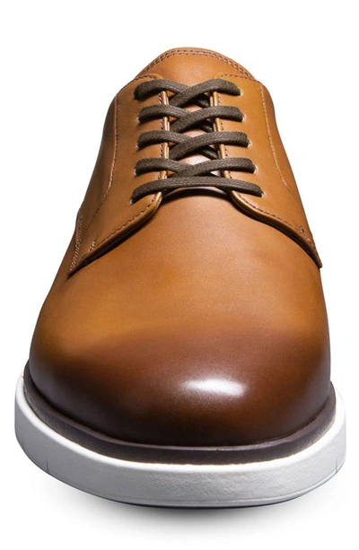 Shop Allen Edmonds Carson Derby In Walnut