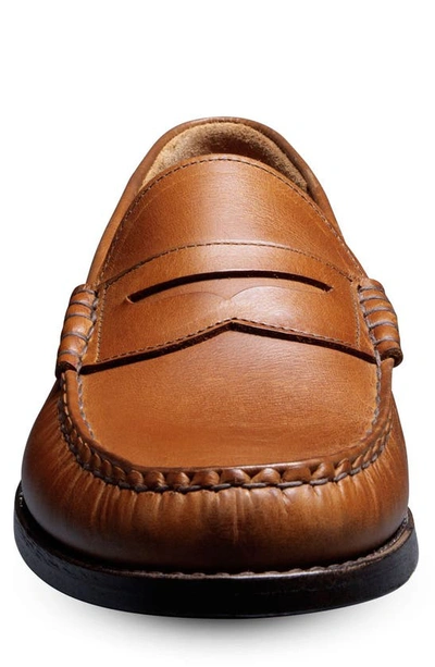 Allen Edmonds Newman Penny Loafer In Pecan