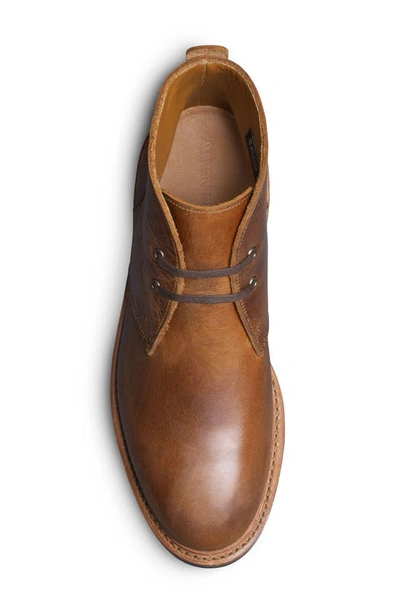 Shop Allen Edmonds Chandler Chukka Boot In Pecan