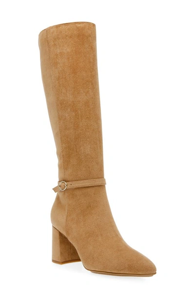 Shop Anne Klein Brenice Knee High Boot In Dk Natural Ms