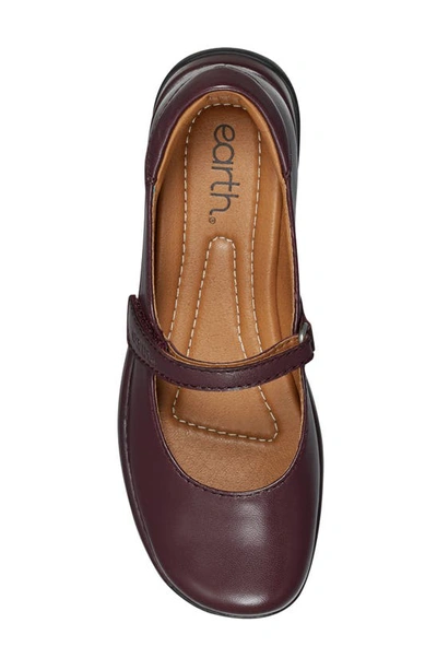 Shop Earth Tose Mary Jane Flat In Beet