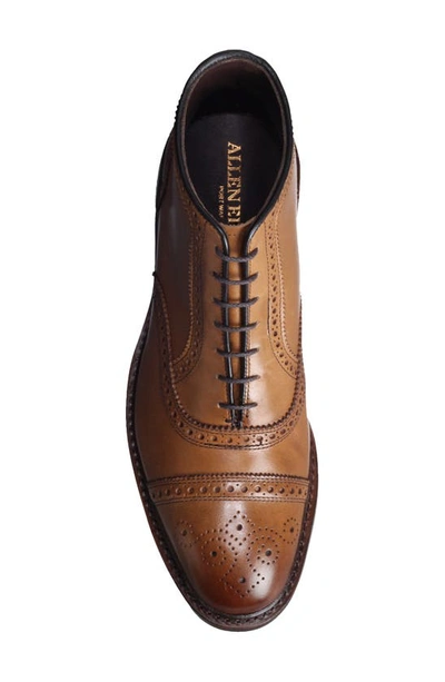 Allen Edmonds Hamilton Wingtip Waterproof Chukka Boot In Walnut Leather