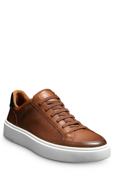 Shop Allen Edmonds Oliver Slip-on Sneaker In Luggage