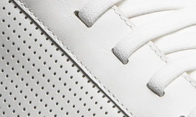 Allen Edmonds Oliver Perforated Sneaker In White