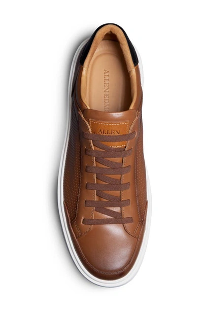 Shop Allen Edmonds Oliver Slip-on Sneaker In Luggage