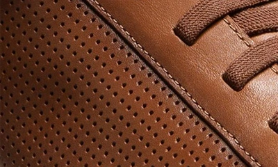 Allen Edmonds Oliver Slip-on Sneaker In Luggage