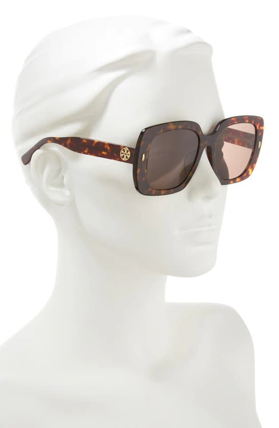 Shop Tory Burch 56mm Square Sunglasses In Dark Tortoise