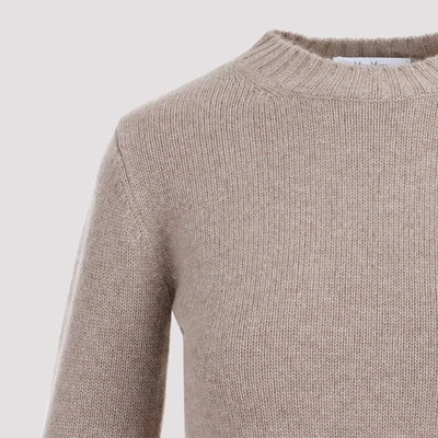 Shop Max Mara Omelia Basic Sweater In Nude &amp; Neutrals
