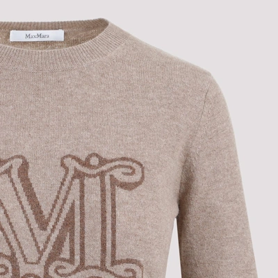 Shop Max Mara Pamir Sweater In Nude &amp; Neutrals