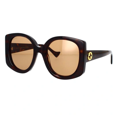 Gucci Eyewear Sunglasses In Havana