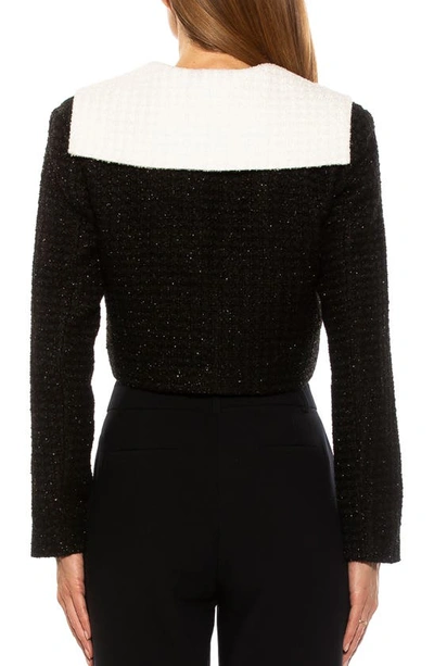Alexia Admor Clementine Tweed Crop Jacket In Black