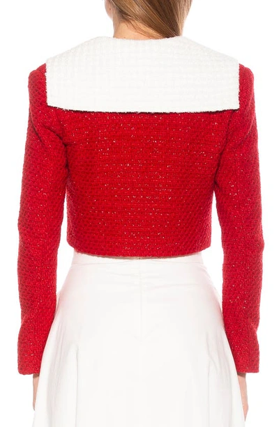 Shop Alexia Admor Clementine Tweed Crop Jacket In Red