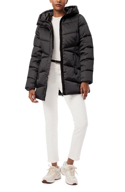 Shop Bernardo Bundle Up Hooded Puffer Jacket In Black